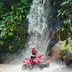 WhatsApp Image 2024-11-04 at 14.00.48